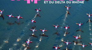 Lancement de la 8ème édition du Festival de Camargue le 5 mai