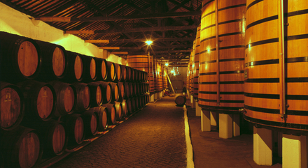 Les caves à Vila Nova de Gaia