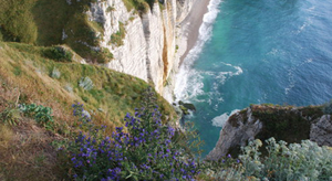 Création d'un indicateur national de l'érosion côtière