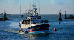 WWF s'engage contre la surpêche