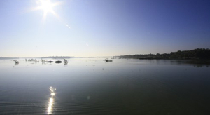 Bangladesh : navigation interdite dans un sanctuaire de dauphins rares