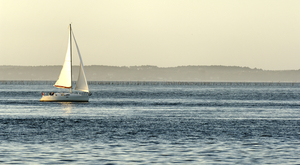 Au coeur des parcs naturels marins de France