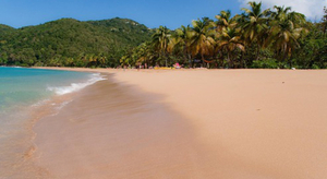 Exercice de prévention au tsunami en Guadeloupe