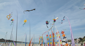 Un festival de cerfs-volants haut en couleur à Martigues