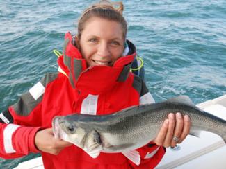Pêche au bar : une règlementation plus stricte