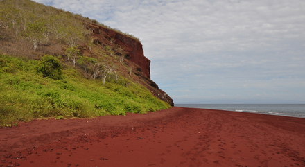 Île Rabida dans l'archipel des Galapagos