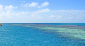 L'acidification des océans menace la Grande barrière de corail australienne