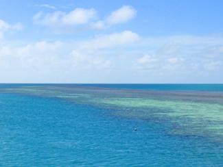 L'acidification des océans menace la Grande...