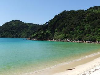 Nouvelle-Zélande : une plage achetée, et...