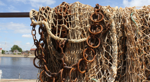 Méditerranée : deux ONG en lutte contre la surpêche