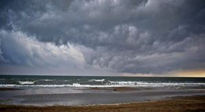 Erreurs de prévisionnistes