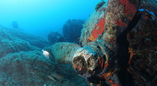Nautisme Article