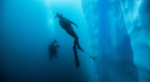 Expédition vers le Grand Nord