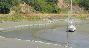 L’usine marémotrice de la Rance : une fausse bonne idée ?