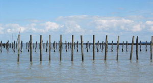 Cancale, site remarquable du goût