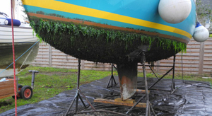 Le carénage réglementé