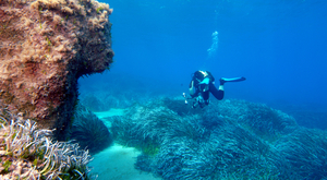 L'un des plus beaux piqués d'épave à Chypre