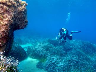 L'un des plus beaux piqués d'épave à Chypre