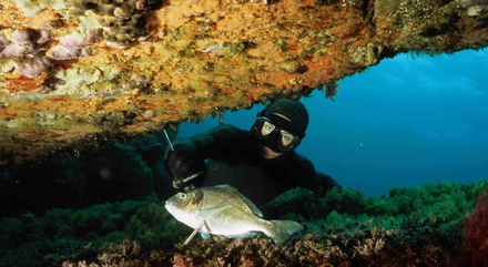 Chasse sous-marine dans une faille rocheuse de Méditerranée. Nautisme Article