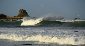 Risque de coups de vent en fin de semaine