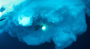 Under the Pole : rencontre étonnante dans les abysses