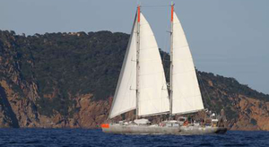 Tara : les premiers résultats accablants de son expédition