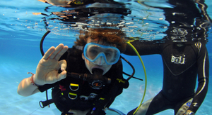 Découvrez la plongée polaire à Paris