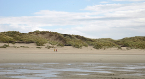 Un weekend mitigé sur nos côtes