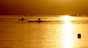 Hawaiki Nui Va'a: les eaux polynésiennes à l'honneur