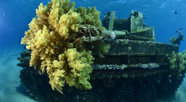 Le tank Nautisme Article