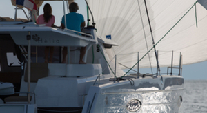 La belle santé du multicoque français