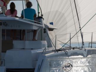 La belle santé du multicoque français