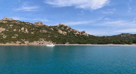 La cala di Roccapina, sa plage, sa tour génoise et son Lion de Roccapina. La cala di Roccapina, sa plage, sa tour génoise et son Lion de Roccapina.