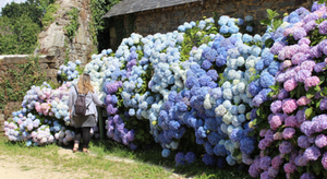 Douarnenez, une cité maritime au riche passé historique