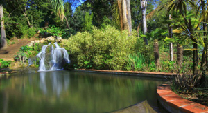 Hyères accueille les concurrents du Tour de France