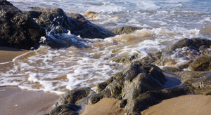 Quel WE en bord de mer ?