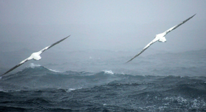 Atlantique : le retour de la menace des ouragans