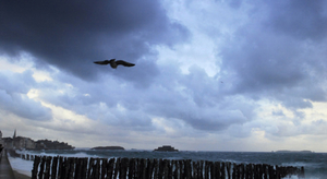 Orages et vents forts sur nos côtes