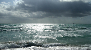 La Floride menacée de disparition