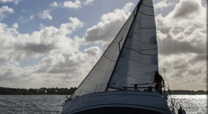 Ecoute, la réponse est dans le vent