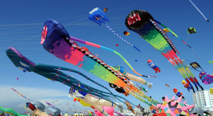 Du vent dans les voiles à Berck-sur-Mer