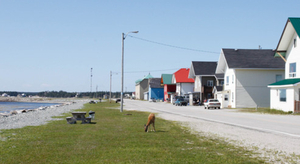 L’île de rêve d’Anticosti passe du chocolat au pétrole