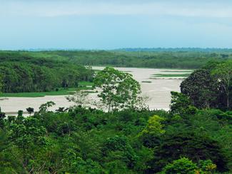 Yachting de luxe au cœur de l'Amazonie