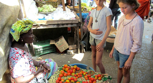 A la découverte de la Gambie