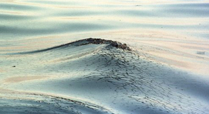 Quel temps sur nos côtes cette semaine ?