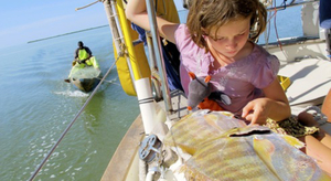 Féticheurs, ripailles et check-points en Casamance