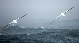 Encore des conditions perturbées ce mardi en Méditerranée
