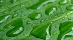 De moins en moins d'eau