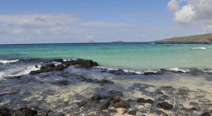 El Niño, une menace pour les Galapagos ?