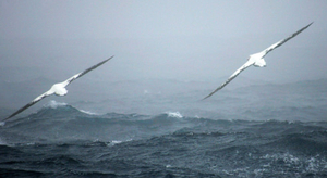 Semaine sur nos côtes : attention, le froid arrive !